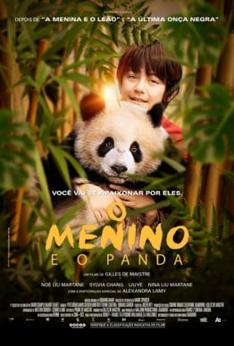 O MENINO E O PANDA O MENINO E O PANDA